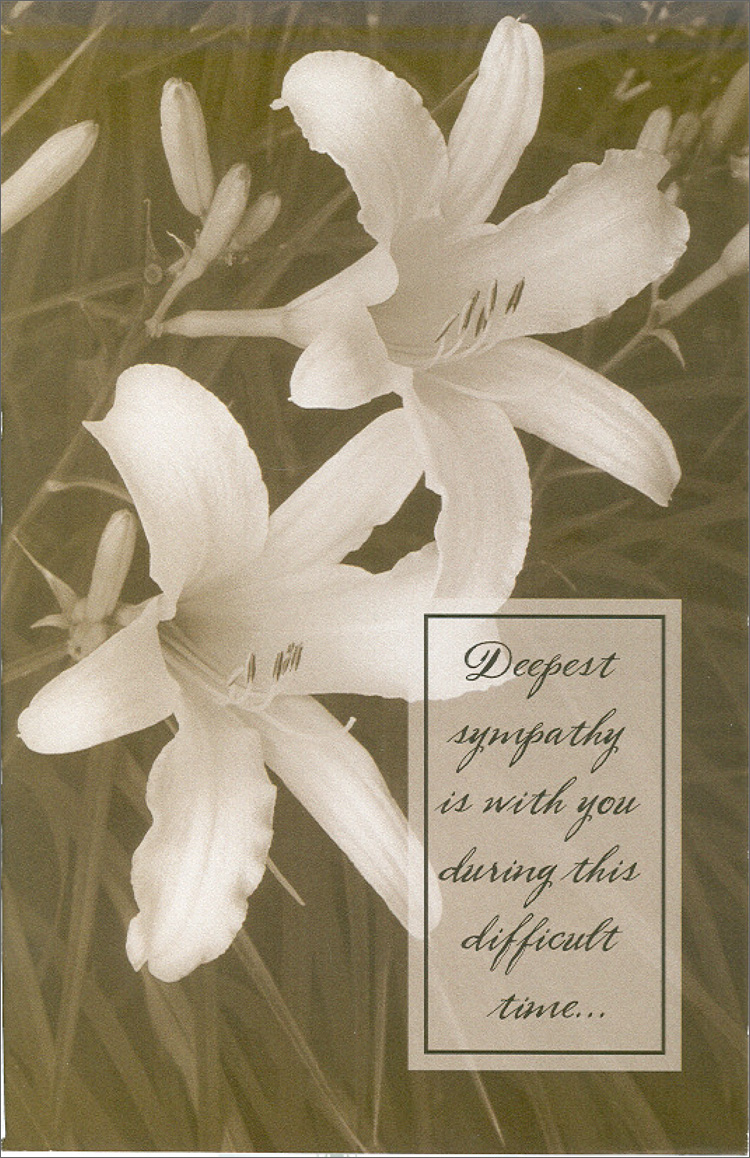 Card from Connie Morse