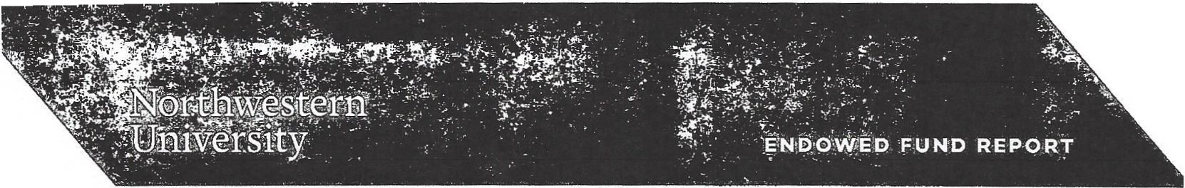 Northwestern SIGP 2018